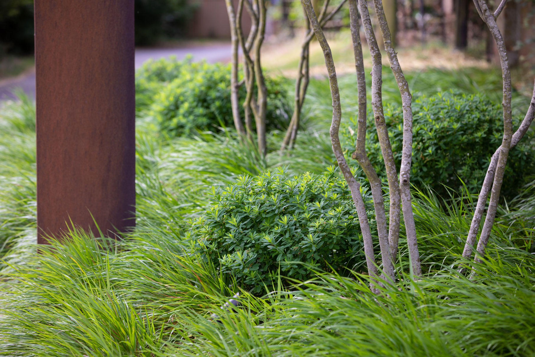 诗意中游弋 | Colm Joseph-50