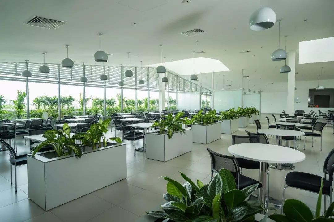 布勒HOA BINH工厂-20