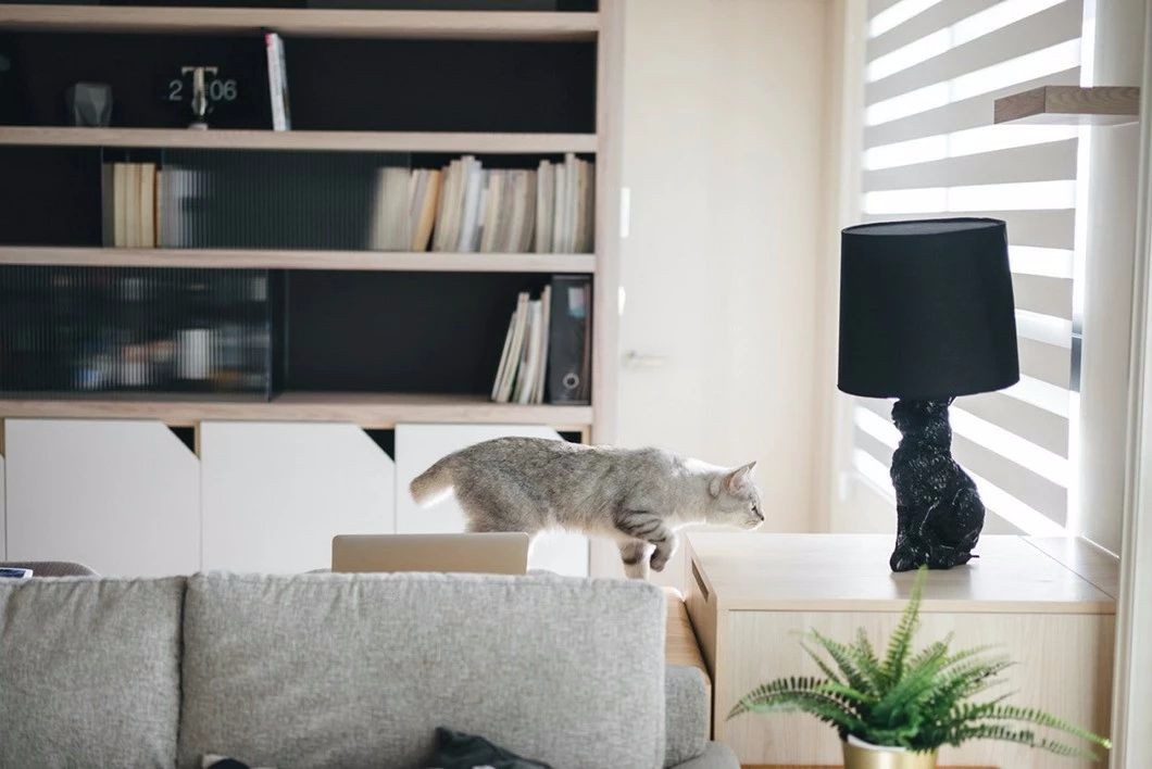 猫奴专属家居设计,打造猫咪欢乐空间-31