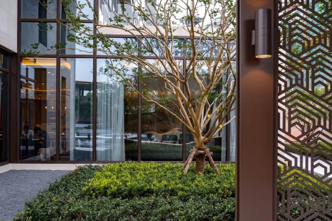 伟星·印长江丨中国芜湖-57