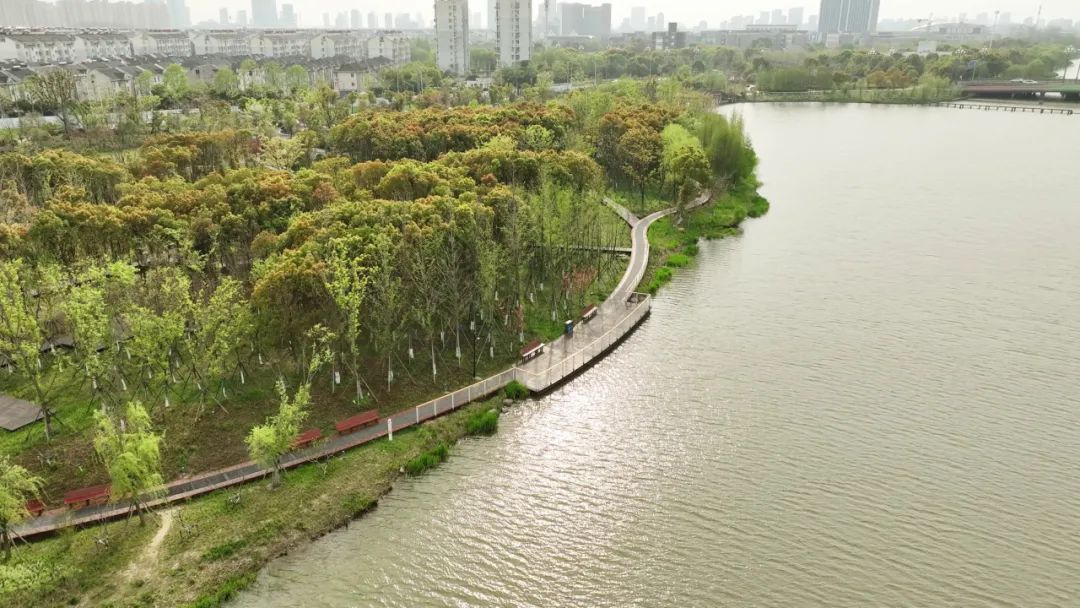 平湖市东方公园工程设计丨中国嘉兴丨中国美院风景建筑设计研究总院-56