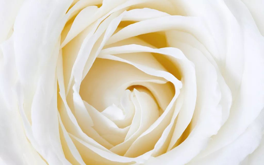 小户型设计 | 简约自然,五脏俱全-18