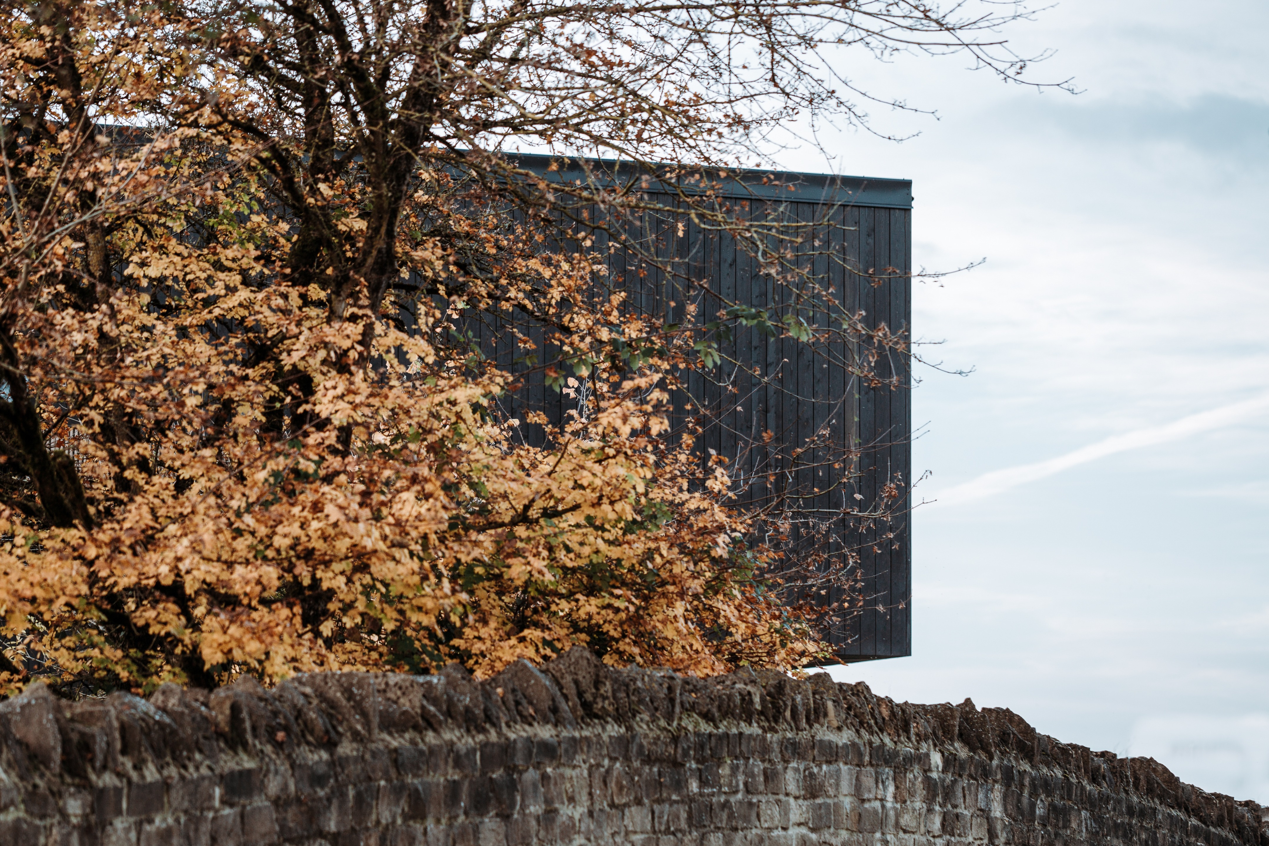 猎鹰之家丨英国丨Koto Design-5