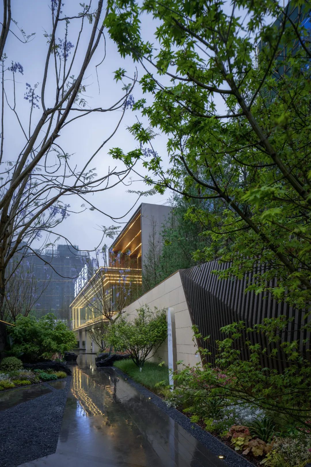 金科·星宸海 | 城市山林中的星辰大海-161