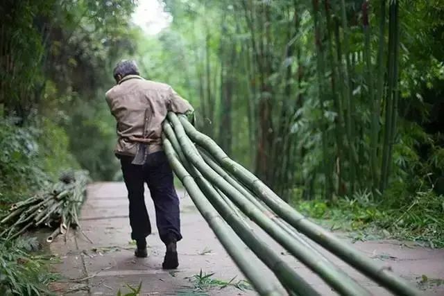 青神竹编,瓷胎竹编,道明竹编,刘氏竹编丨中国四川-44