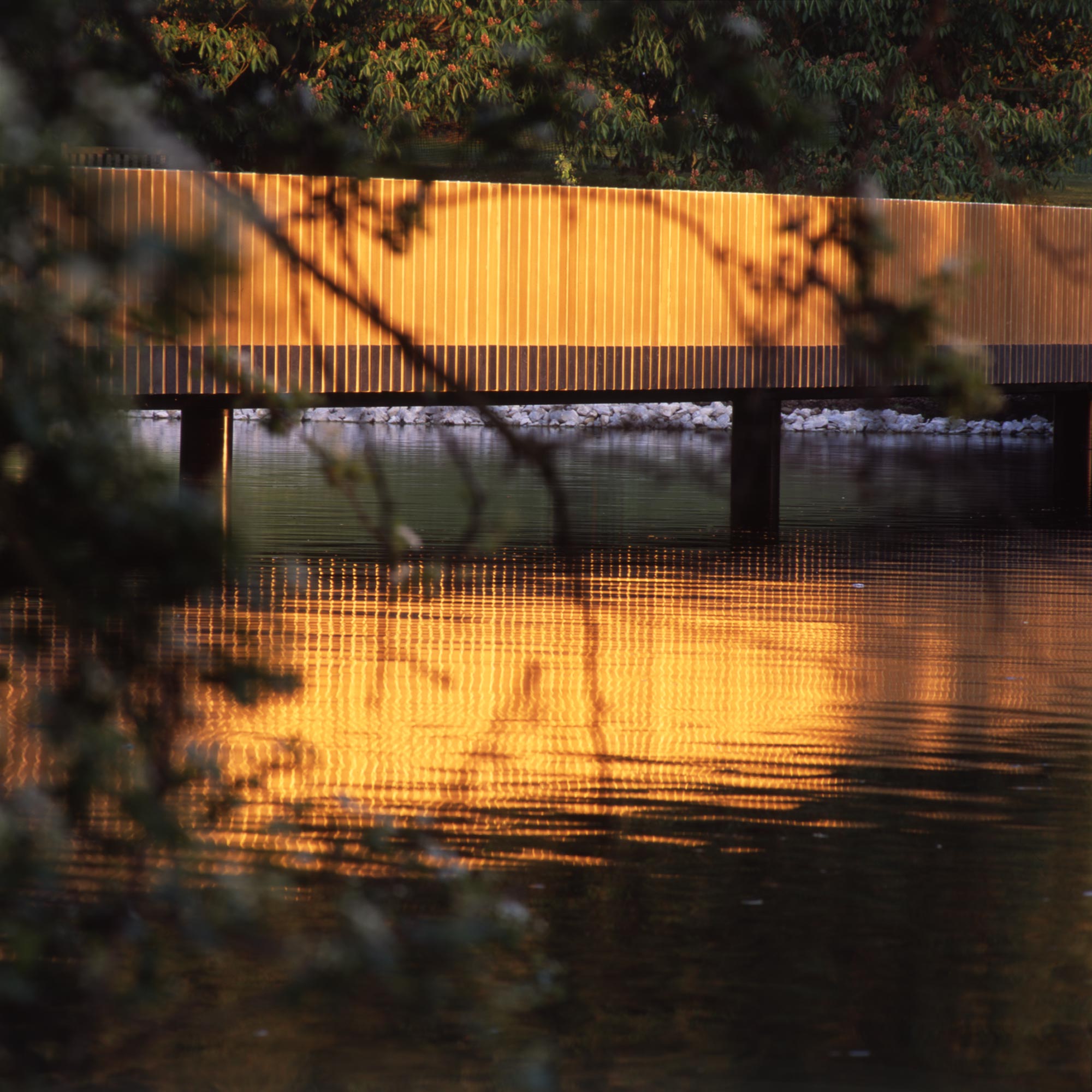 约翰·帕森 湖岸交汇处（注：Lake Crossing常见释义为湖岸交汇处 ，不过具体需结合其语境，如果是某建筑作品名等，Crossing也有穿越等意思，这里暂时按常见意思处理） 丨英国伦敦-6