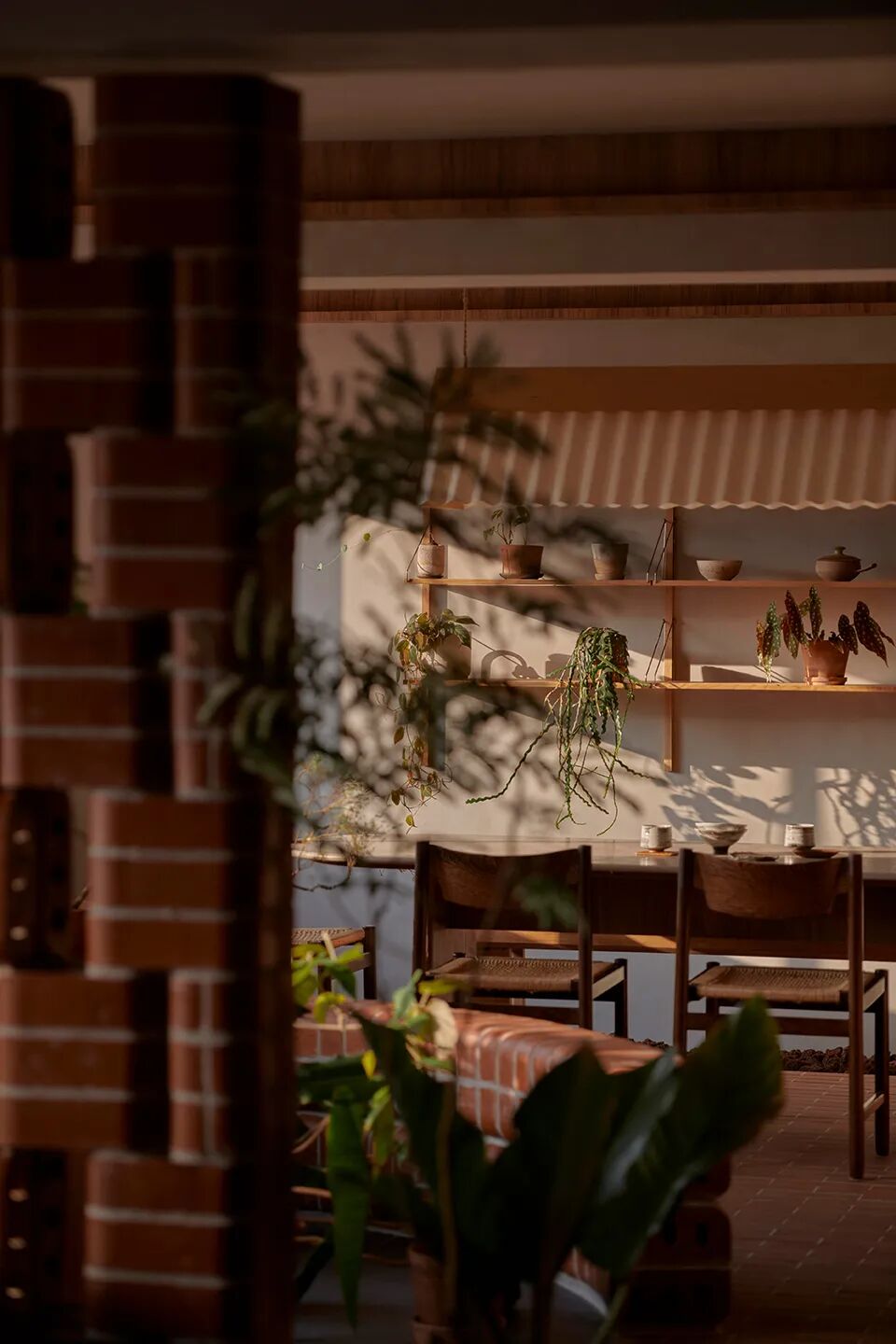 充满生命力的“公园里的家”-12