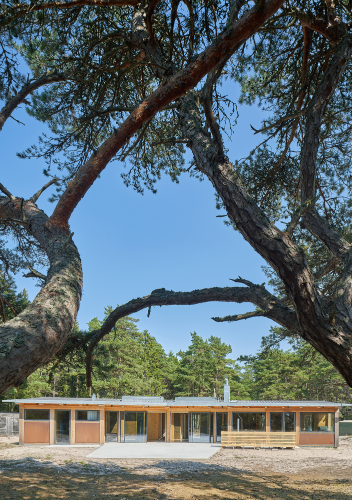 哥特兰海景度假屋 | 垂直木结构与大海的完美融合-42