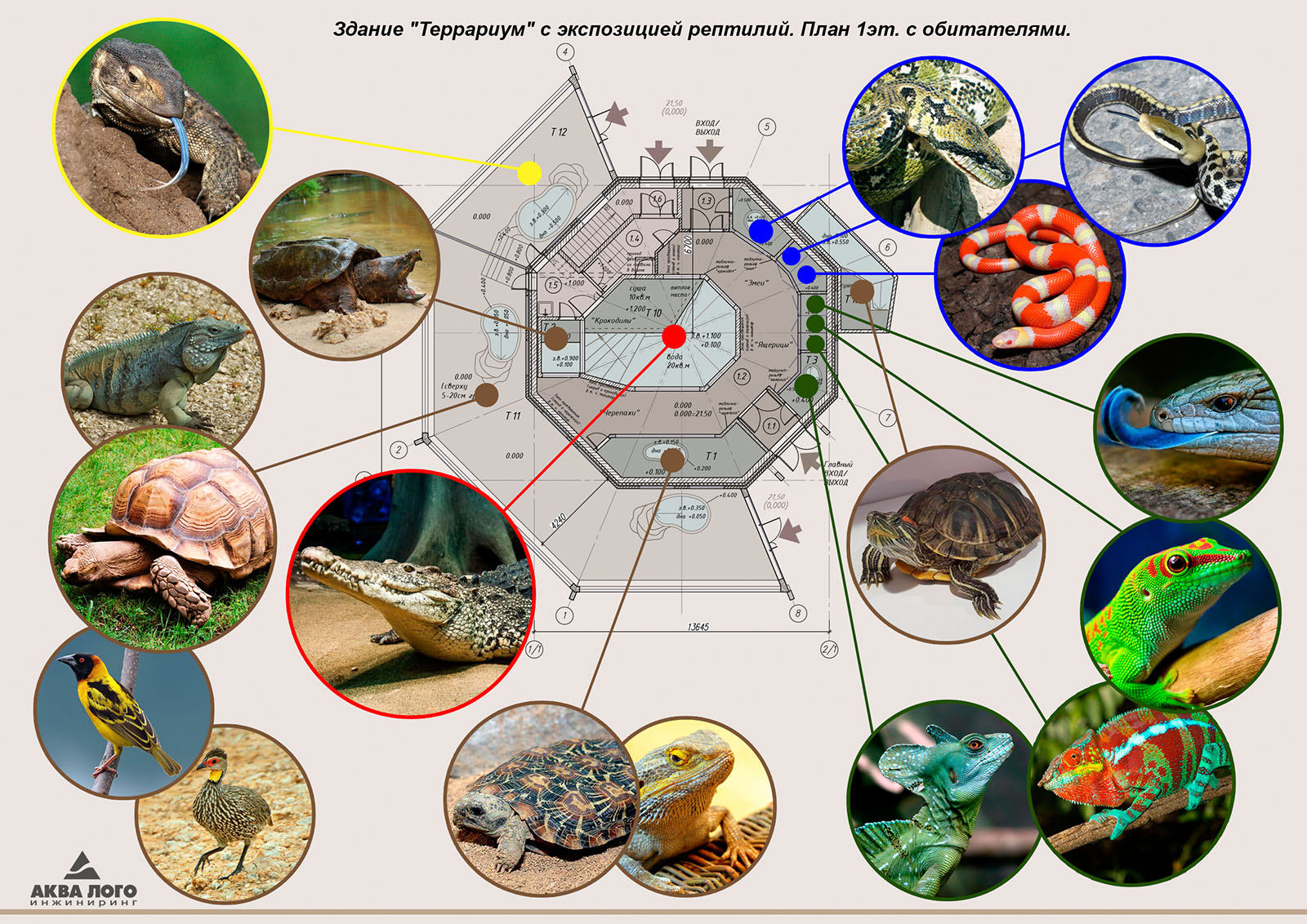 Калининград动物园  “水族馆”改建“  温室” 重建项目丨俄罗斯加里宁格勒丨Аква Лого Инжиниринг-16