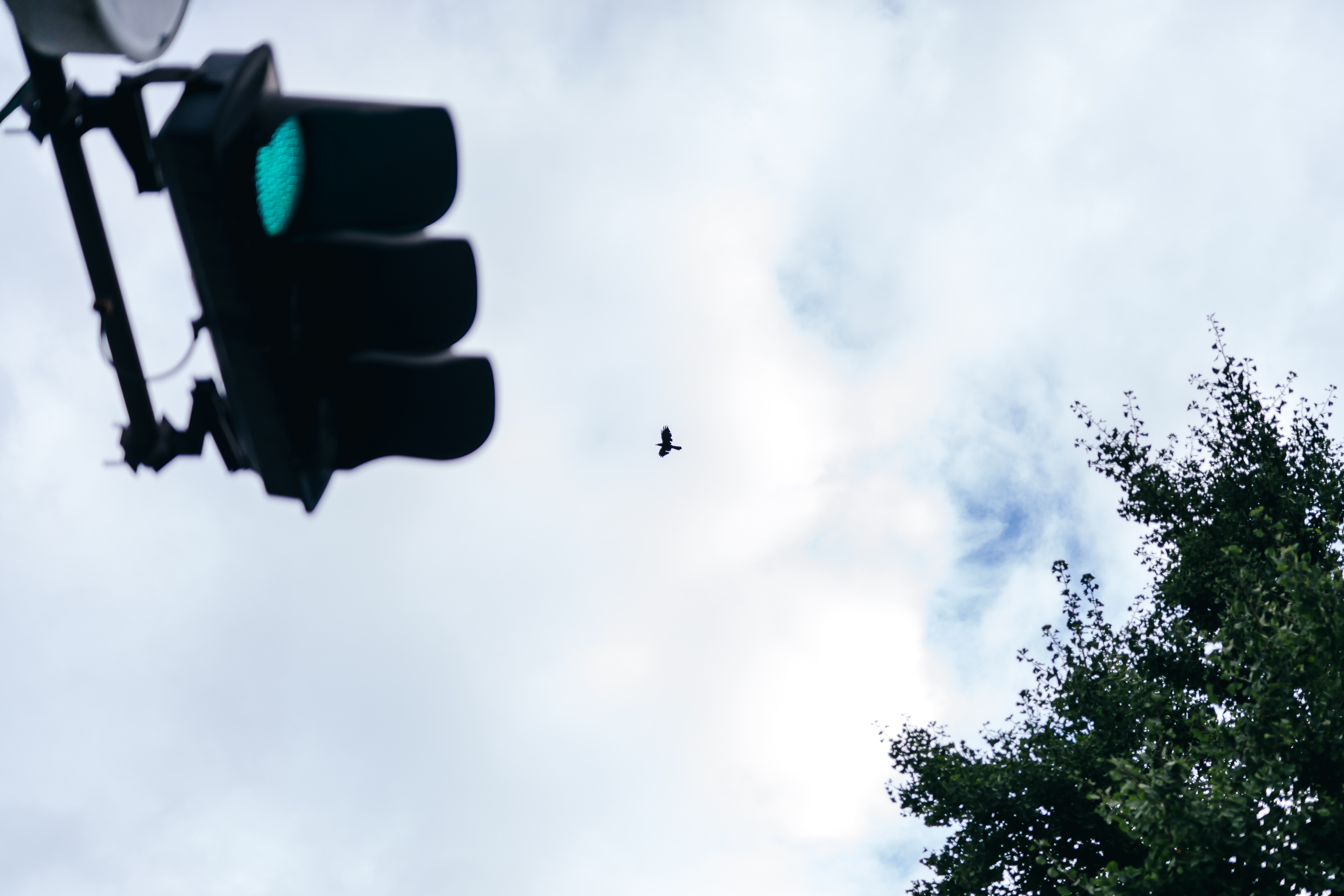 大阪城市换装丨日本大阪-6