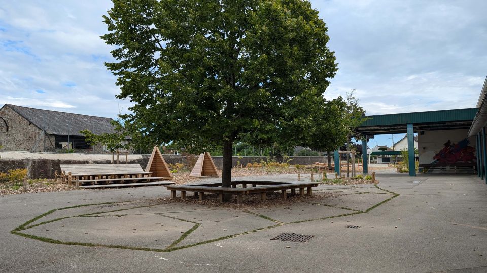 罗伯特·巴丹泰小学操场改造项目丨法国丨SUPER 8  城市规划与景观设计师-7