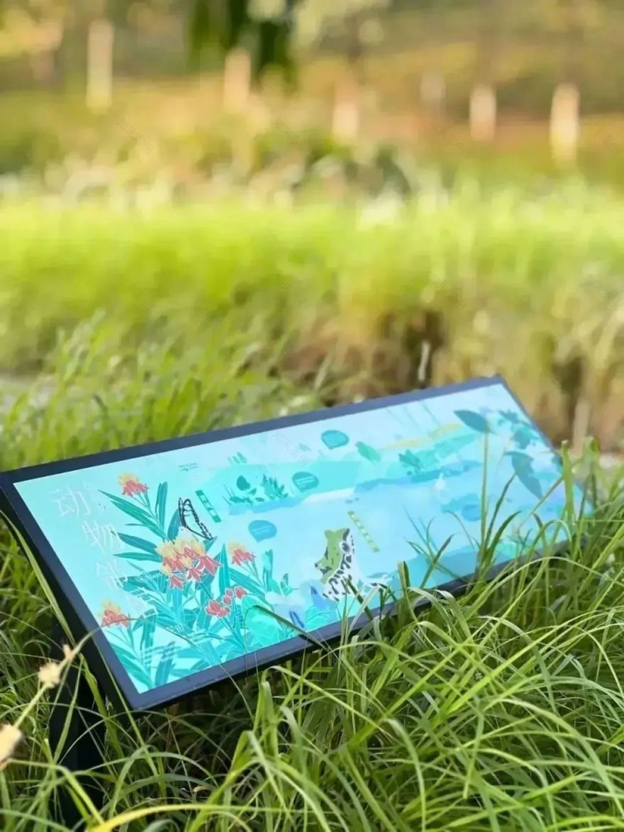 广州南岗河生态修复项目丨中国广州丨AECOM团队-60