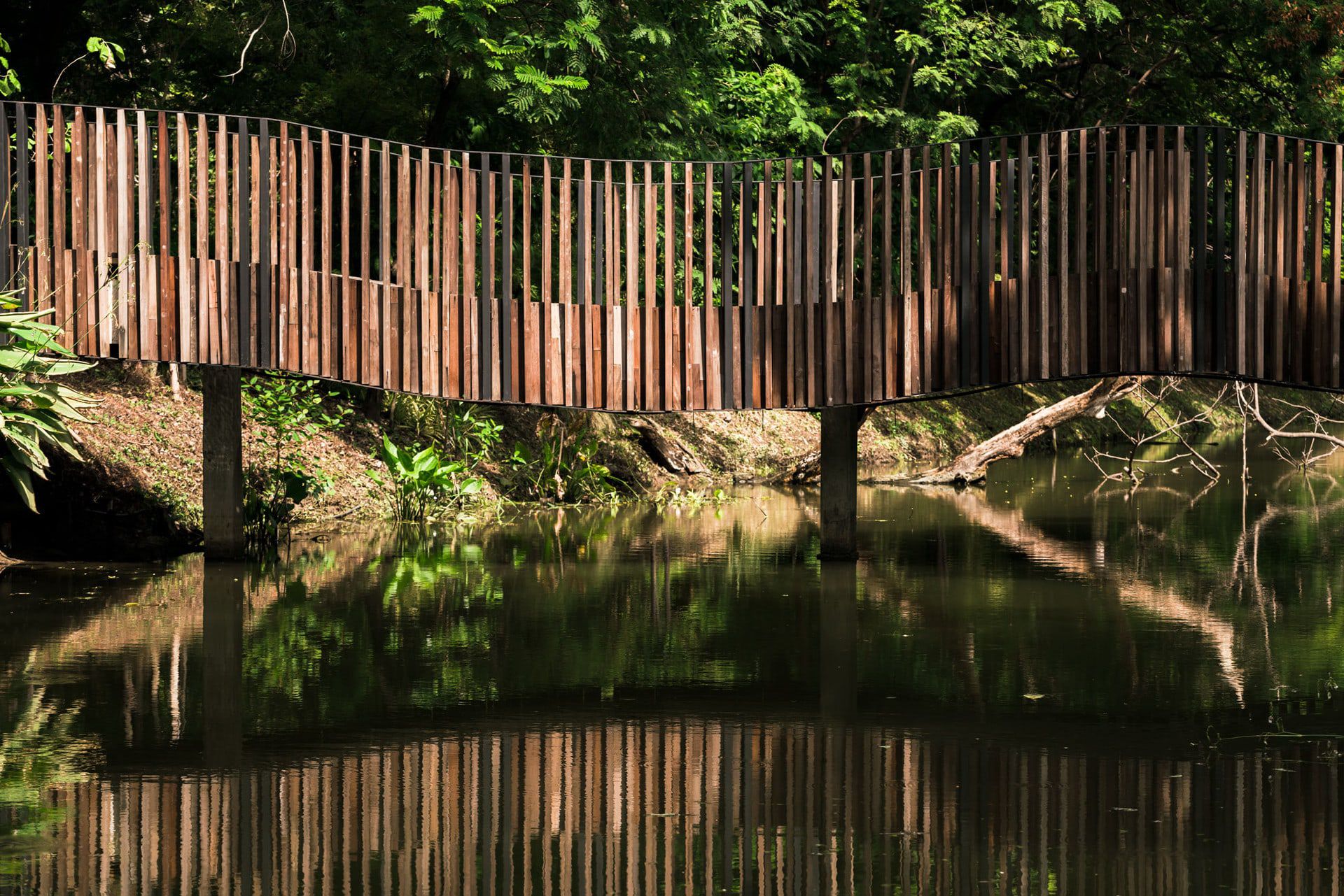 生态林地的波浪桥-38