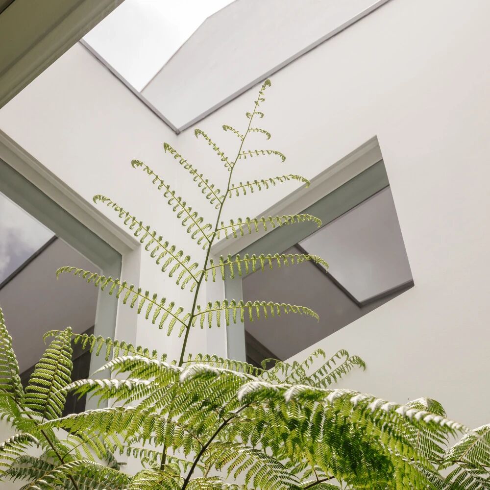 新作 WEDGE HOUSE  Super Assembly  2026  新加坡-7