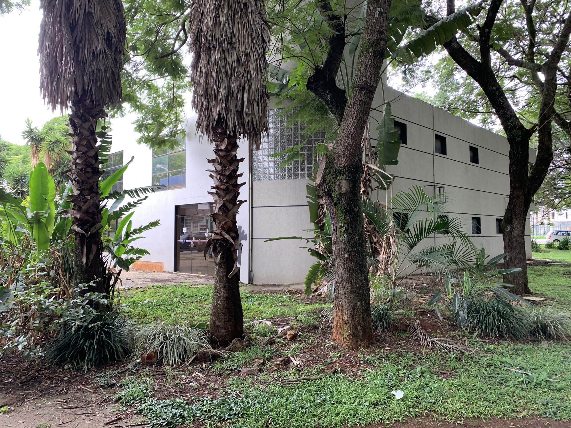 普皮拉诊所丨巴西巴西利亚丨BLOCO Arquitetos-51