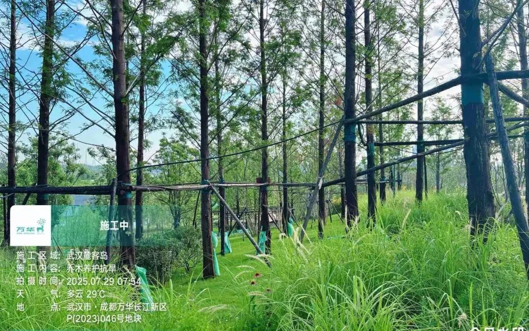 在岛上，过另一种生活丨武汉麓客岛一期一标段&水线公园南区景观工程-111