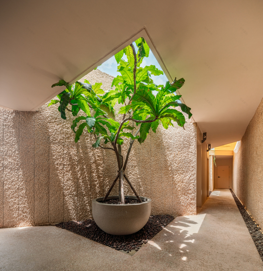哈鲁多特考艾咖啡馆丨泰国丨IDIN Architects-35
