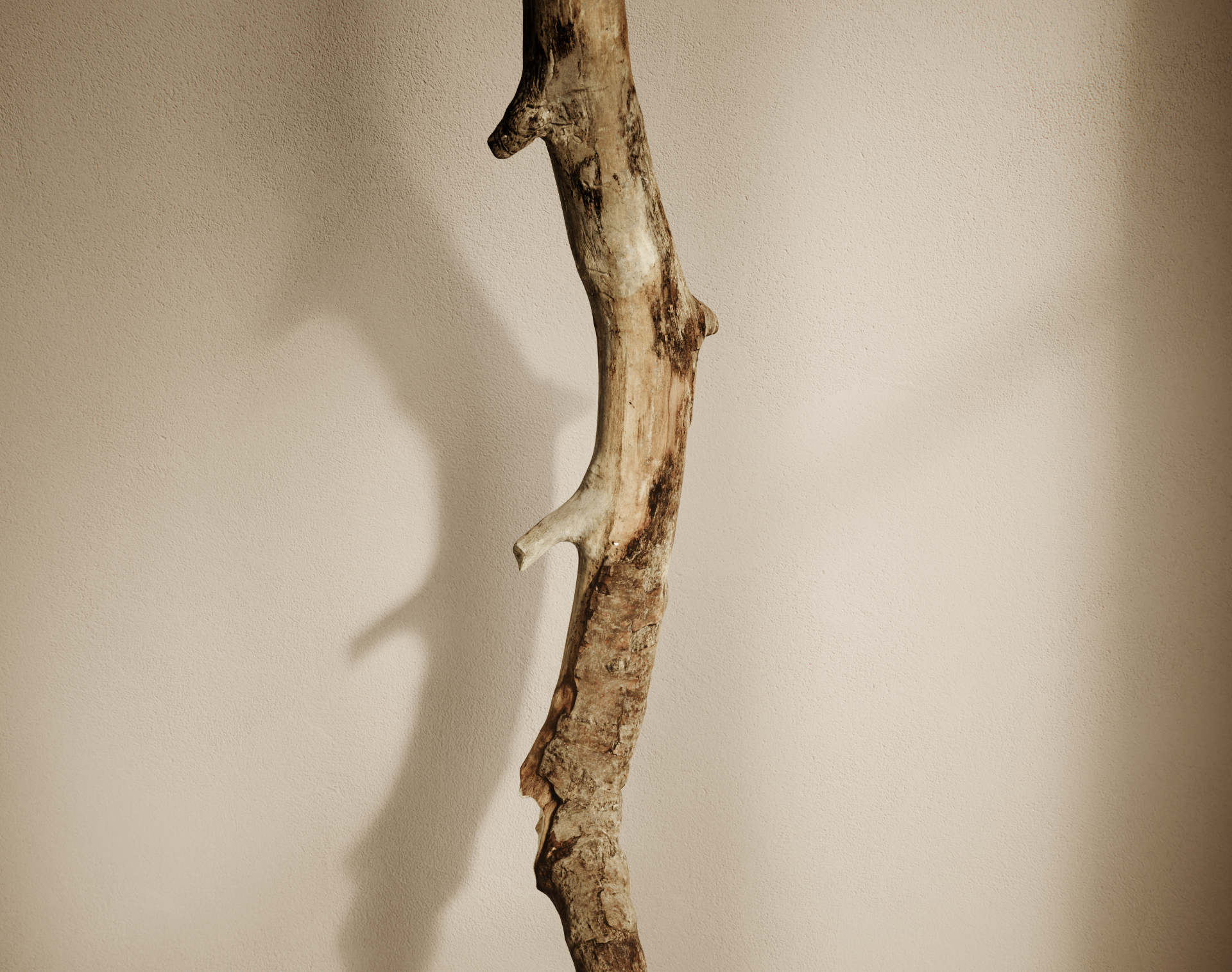 2025年1月全资产

注：Intire可能是拼写错误，推测你想表达的是Entire  -16