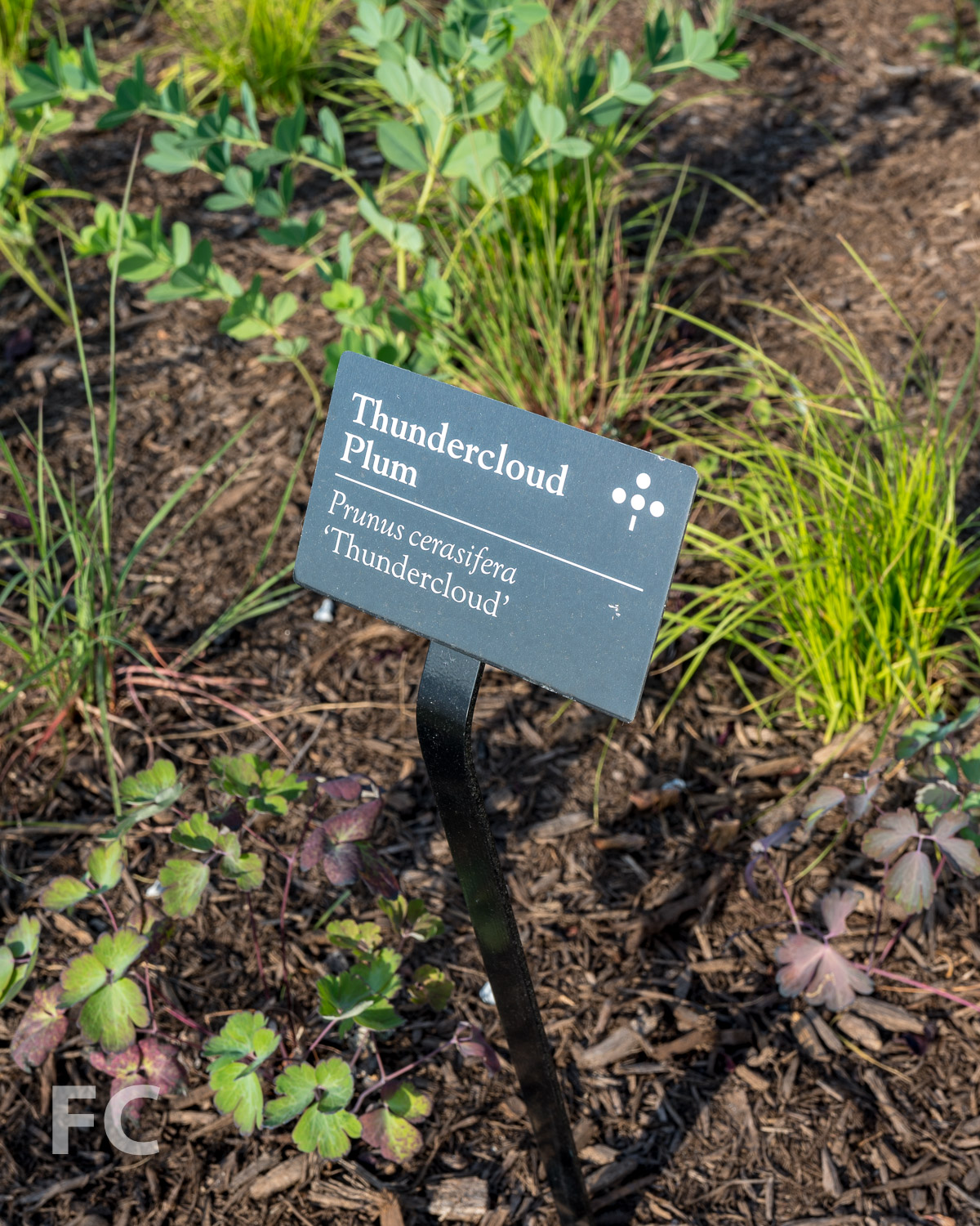 Tour: Domino Park & 260 Kent Avenue — FIELD CONDITION-31