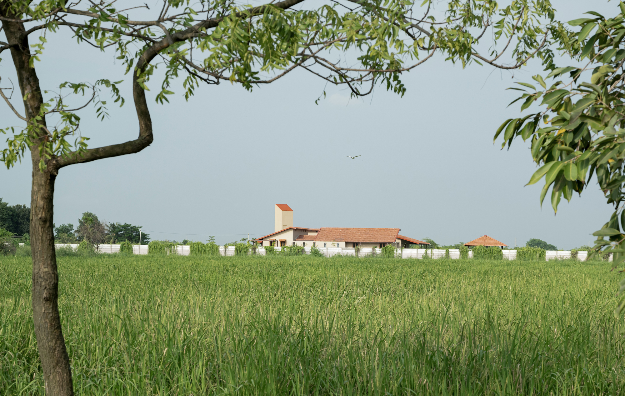 Farmhouse at Balkash / ROOMOOR-34