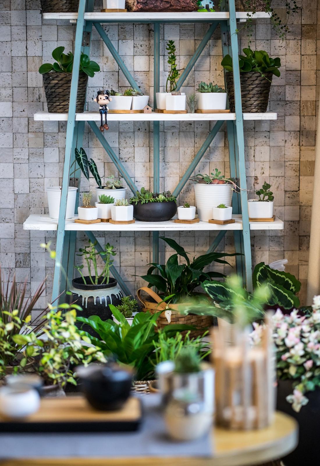 居住（实景）-31