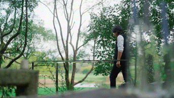 一条，三推光合院-116