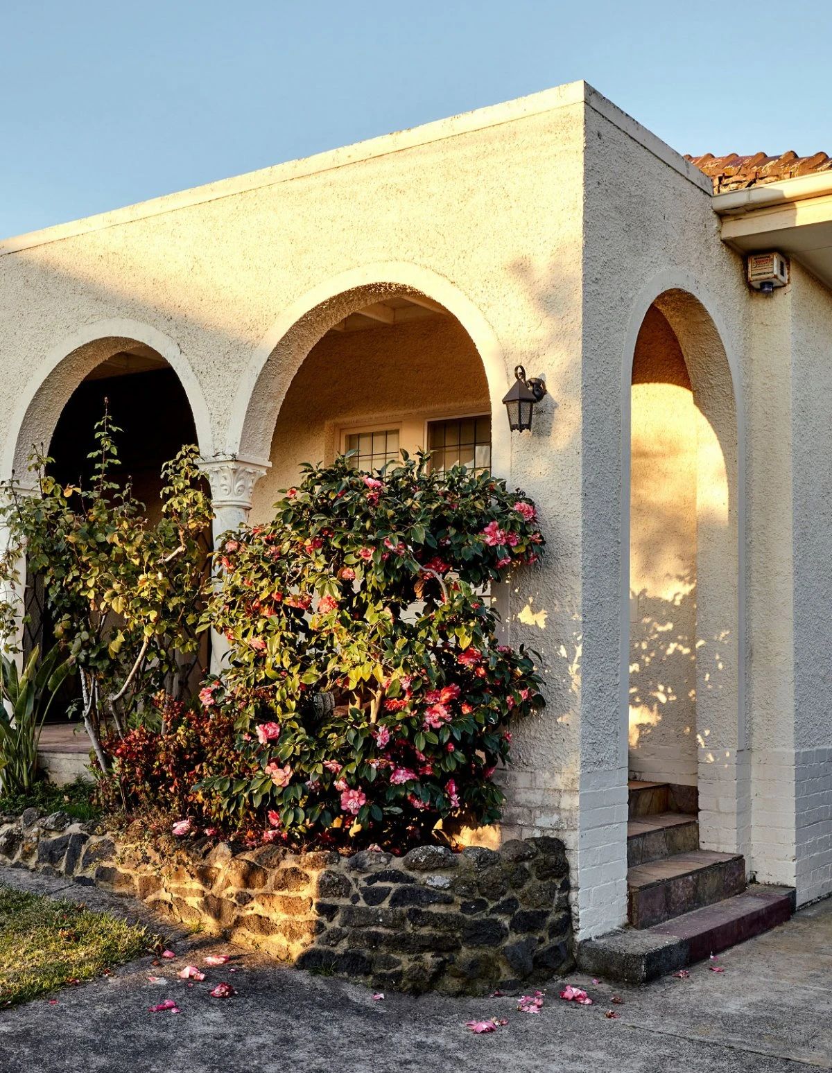 Ivanhoe 住宅丨澳大利亚丨Studio Ezra-43