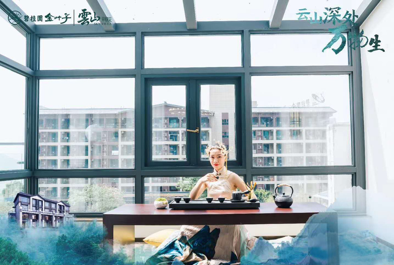 碧桂园金叶子别墅-13