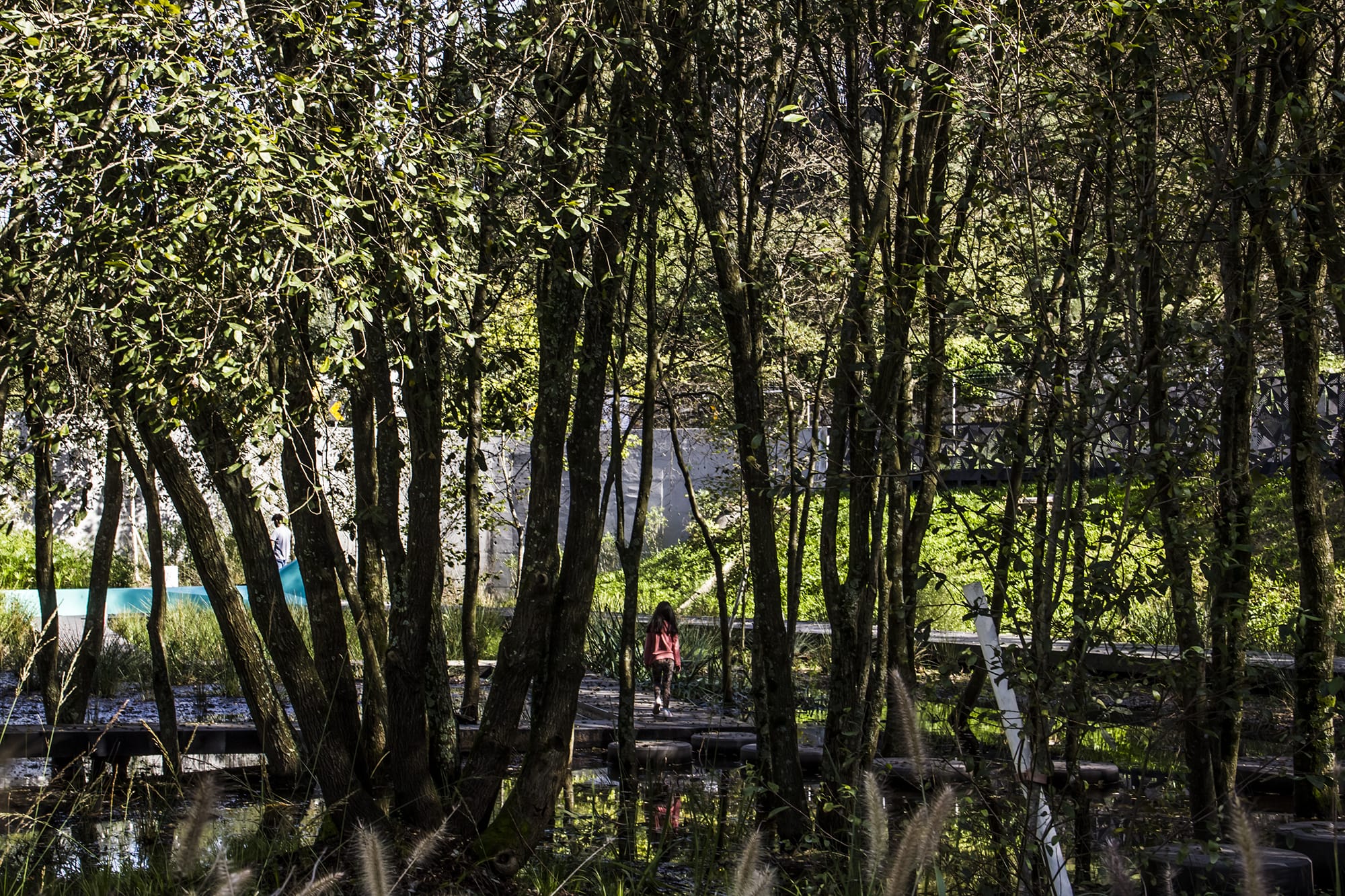 森林里的蓝色折纸公园丨葡萄牙波尔图丨Oh!Land studio-21