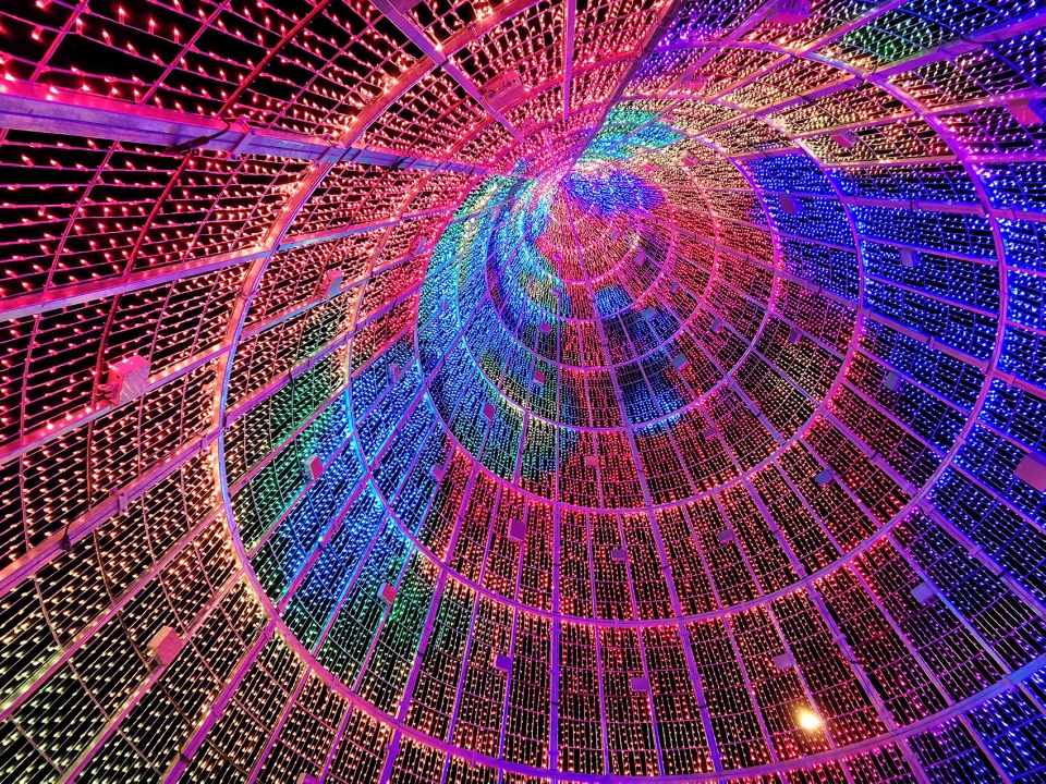 丹佛 110 英尺高动态灯光装置·“英里高树”-22