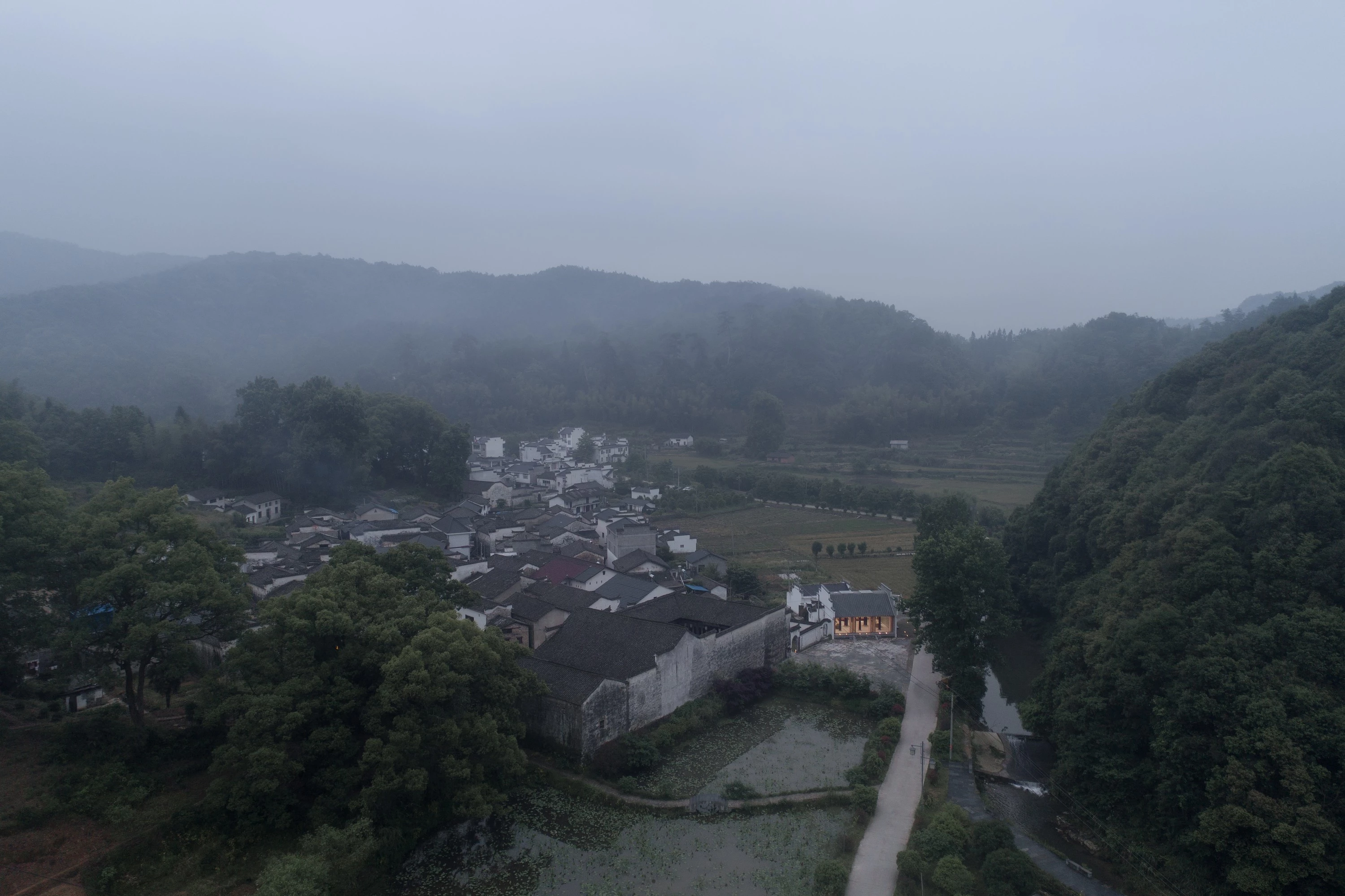 家族大厅 X·树下对真理的追寻-21