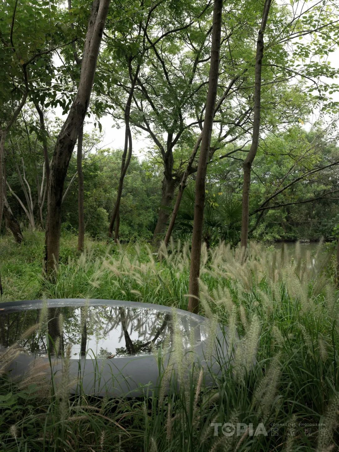 杭州木守西溪酒店丨中国杭州丨GOA 大象设计,重庆朗图,BOB 陈飞波事务所-29