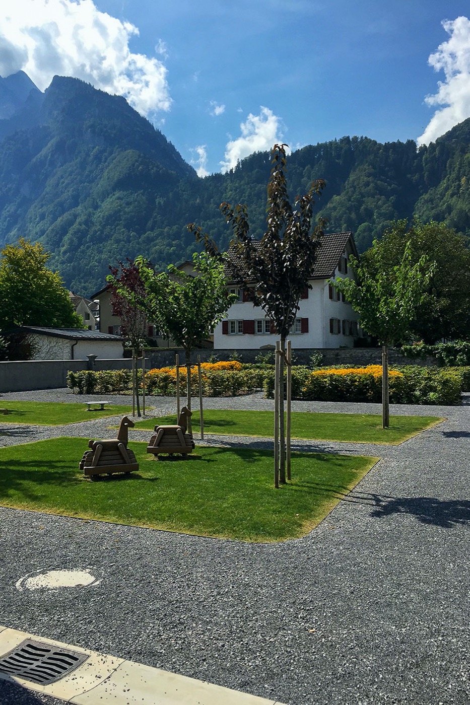 Näfels 市新住宅区设计丨瑞士-12