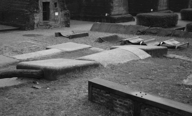 “老虎与乌龟”丨德国丨德国艺术家乌尔里希·根茨和海克·穆特-92