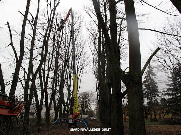 历史公园改造-15