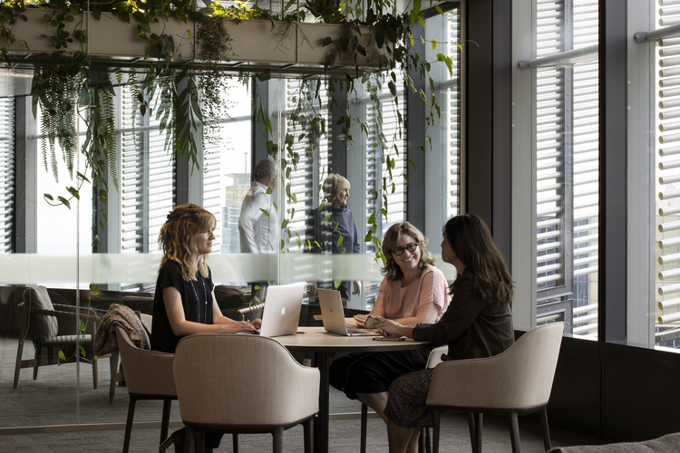 丨澳大利亚悉尼丨Collins and Turner,Geyer-28