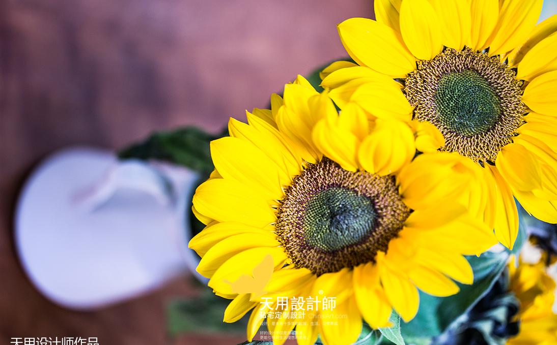 小户型空间利用典范-26