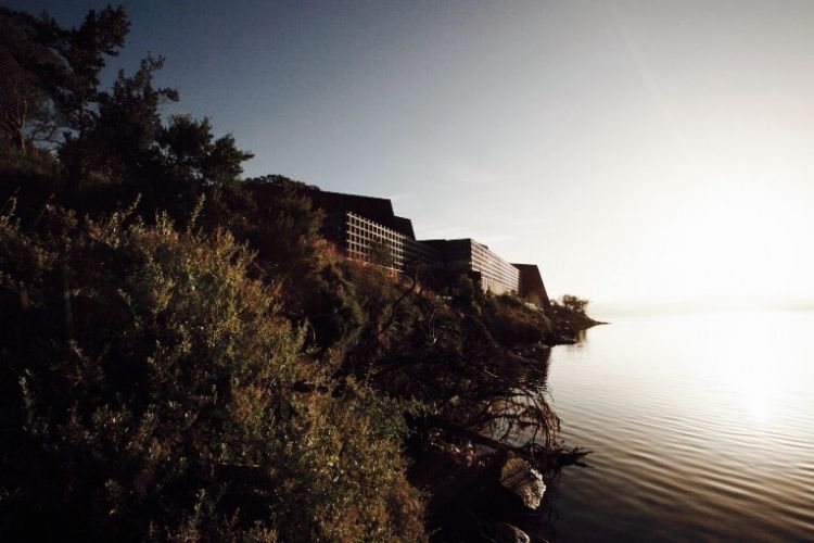 顛覆性的成人迪士尼樂園-MONA古今藝術博物館 - WEHOUSE-0