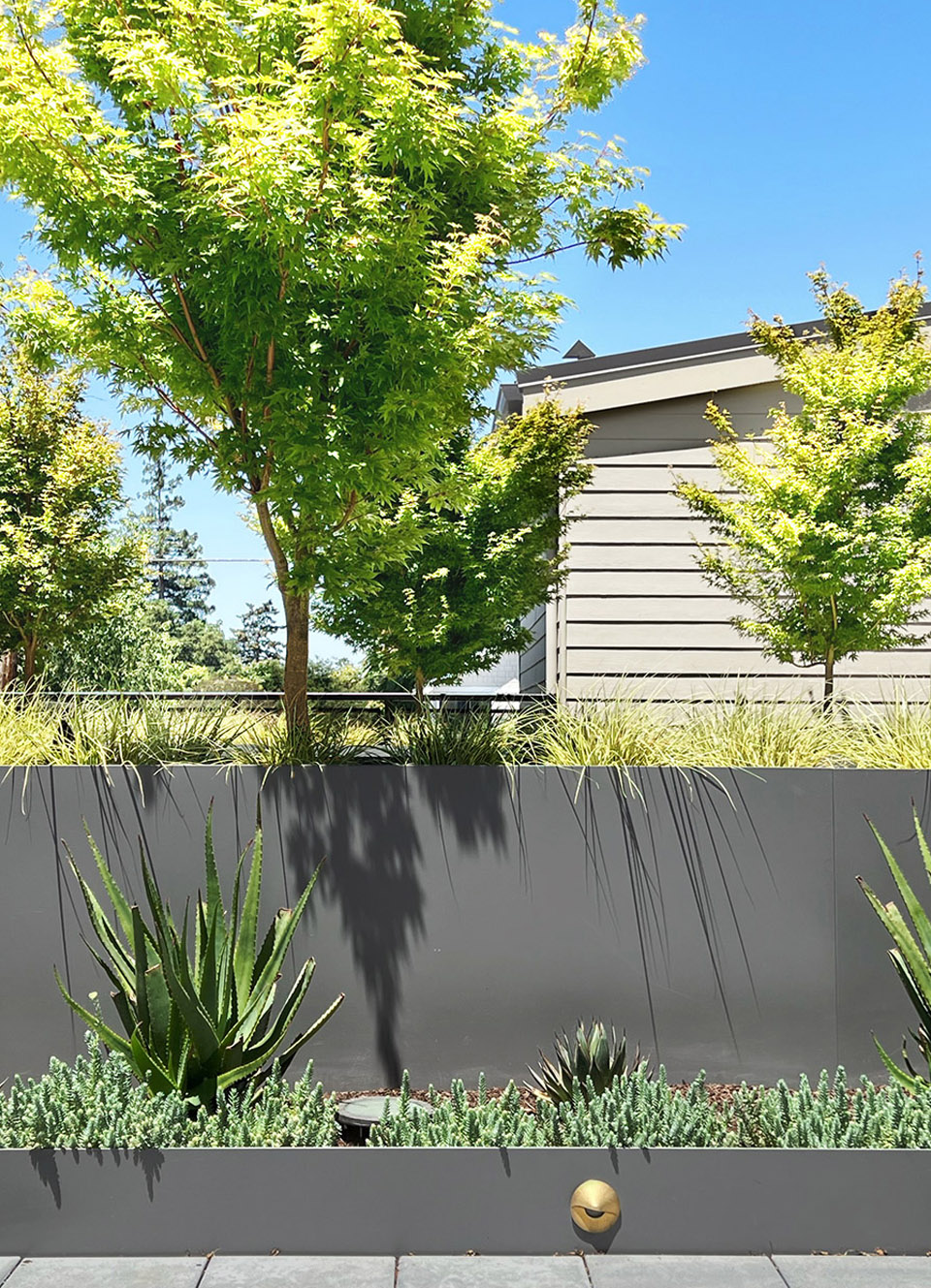 Danny's 餐厅上空花园丨美国加利福尼亚丨Spiegel Aihara Workshop (SAW)-23