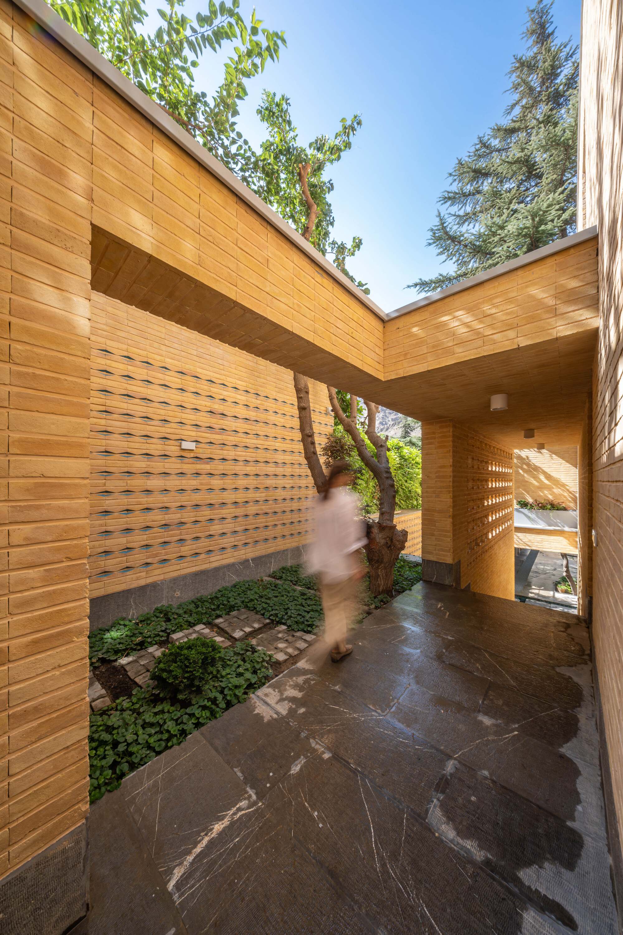A House Looking to A Cedrus Tree / Cedrus Studio-20