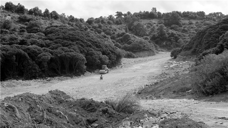 益力矿泉水厂更新策略研究丨中国深圳丨有方-26