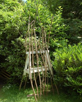 Camden Art Centre花园自然步道项目丨英国伦敦丨Erect Architecture