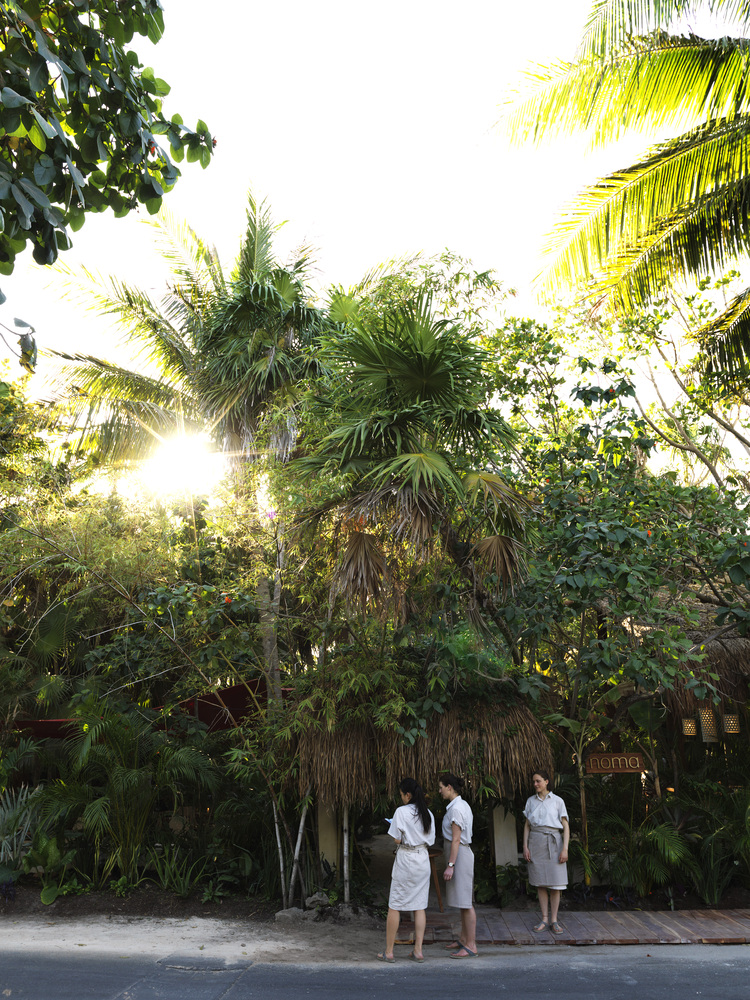 墨西哥 NOMA 餐厅 | 传统市场灵感与现代设计融合-38