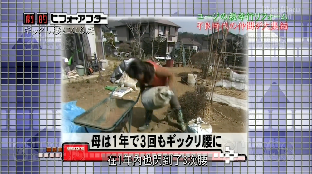 废墟庭院,漏水露台花园改造丨日本大阪丨金井良一-20