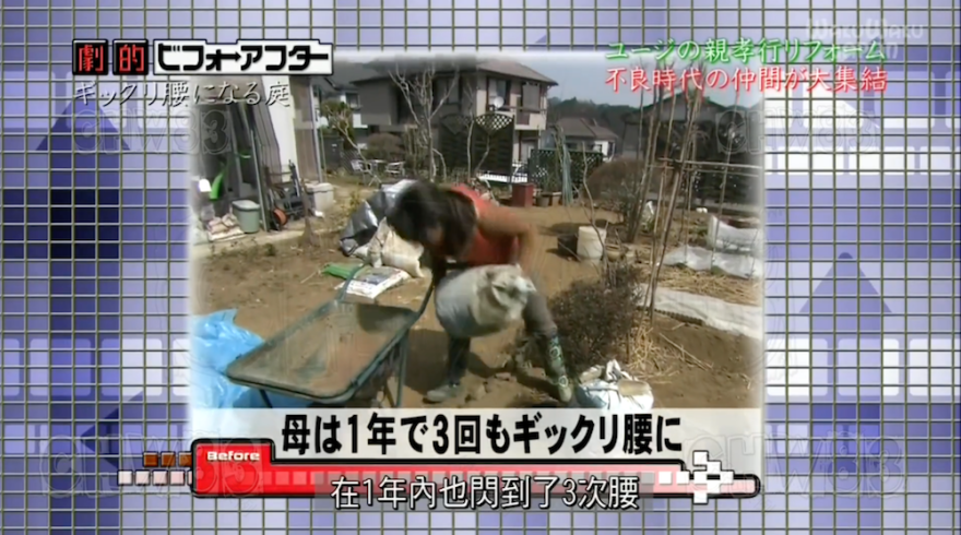 废墟庭院,漏水露台花园改造丨日本大阪丨金井良一-20