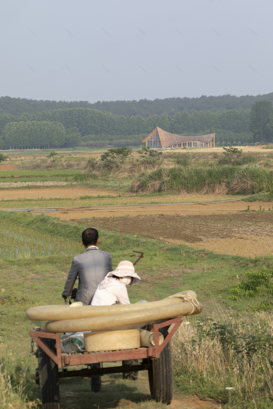 丨中国信阳丨Primary Architects-45