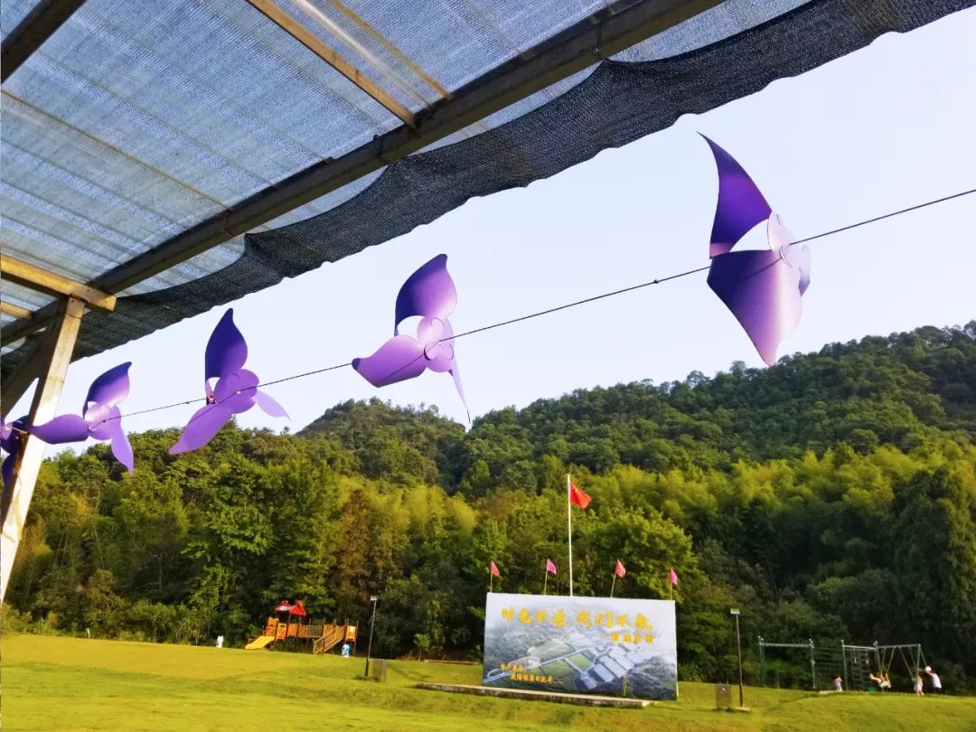 品东装饰户外团建活动 | 快乐工作，健康生活-2