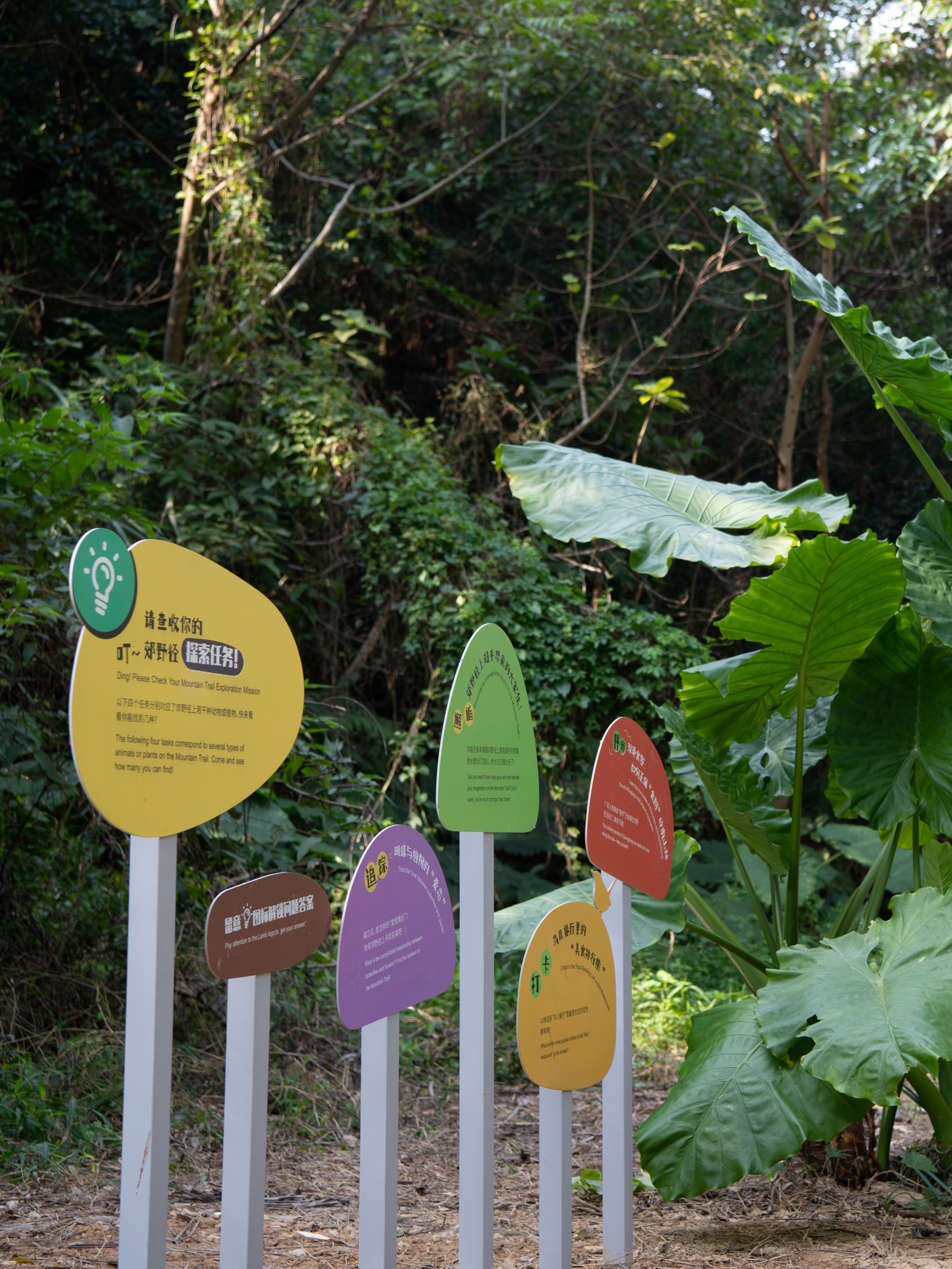 深圳市罗湖区东湖公园郊野径 – 莲塘口岸线丨中国深圳丨深圳市未名设计顾问有限公司 （WMLA）-106