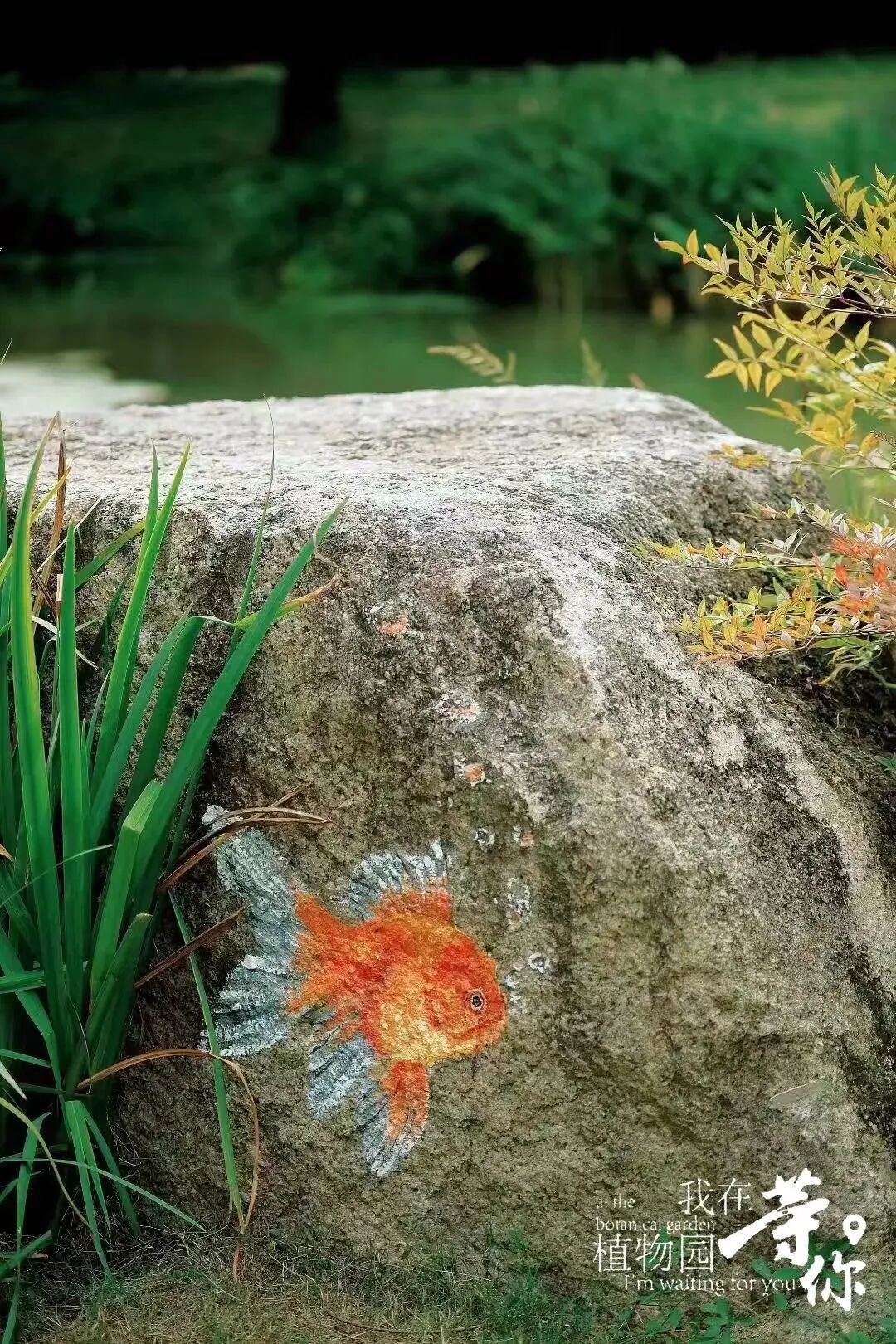 助力长三角生态绿色一体化发展|华建集团现代院原创设计嘉兴中央公园（嘉兴植物园）改造提升项目-32