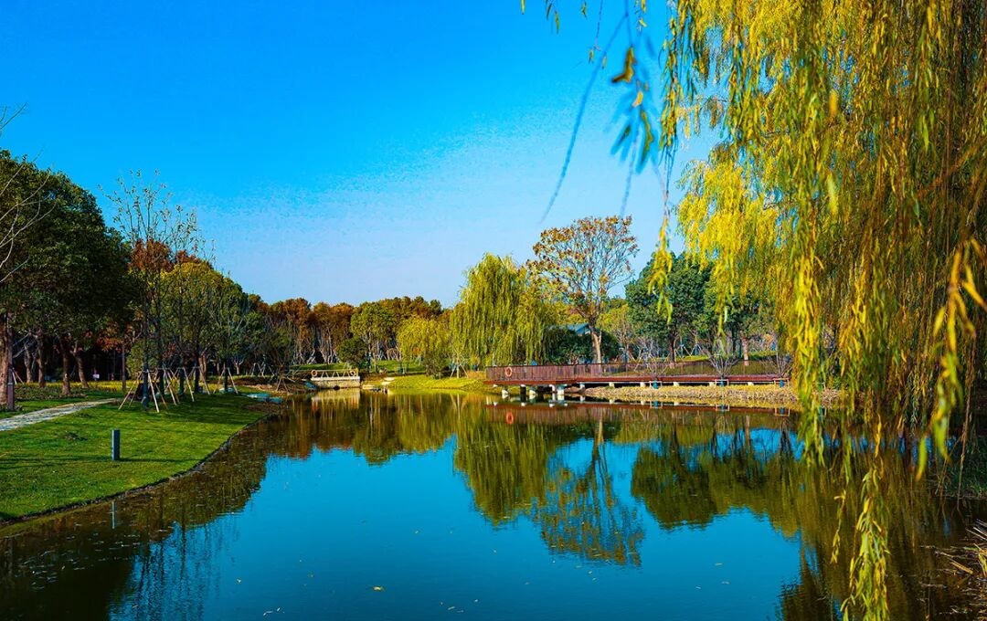 横沔公园丨中国上海丨上海市园林设计研究总院有限公司-14